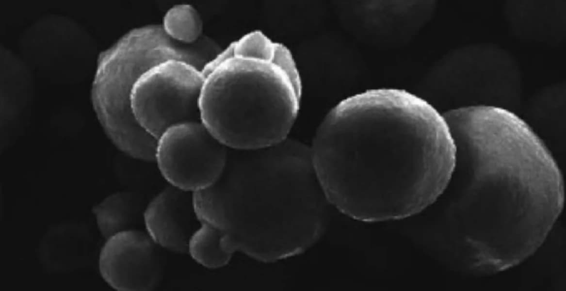 Tecnología Liposomal de Wellplus